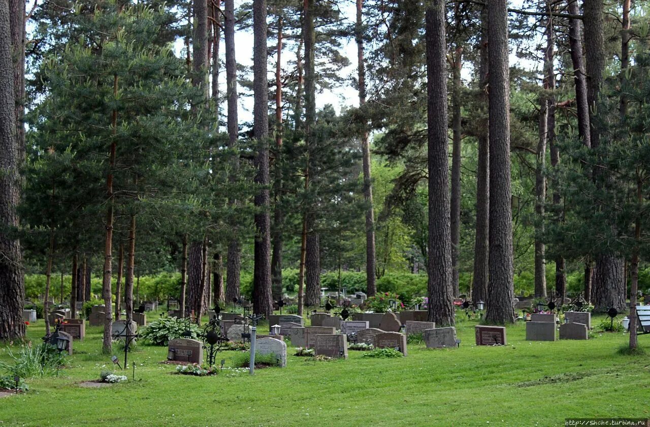 Лесное воронеж лесное кладбище фото Музей современного искусства в Стокгольме. Музей современного искусства / Modern