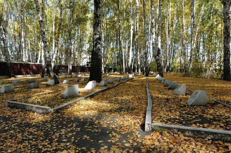 Лесное воронеж лесное кладбище фото Кладбище лесное екатеринбург памятники