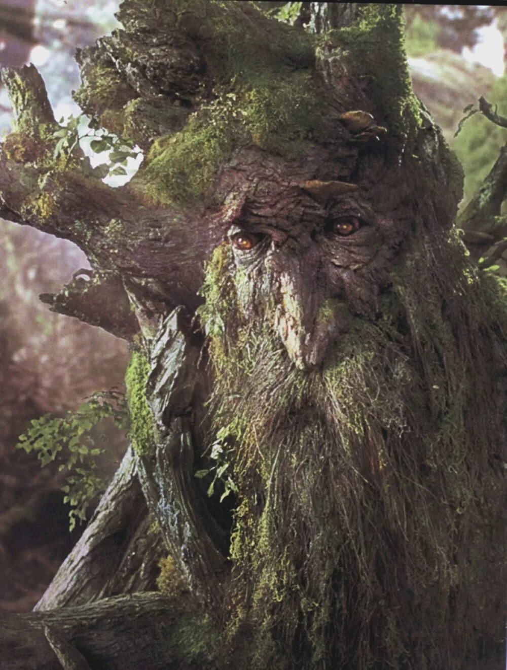 Лесной человек фото Treebeard J.R.R.Tolkien Legendarium Wiki Fandom