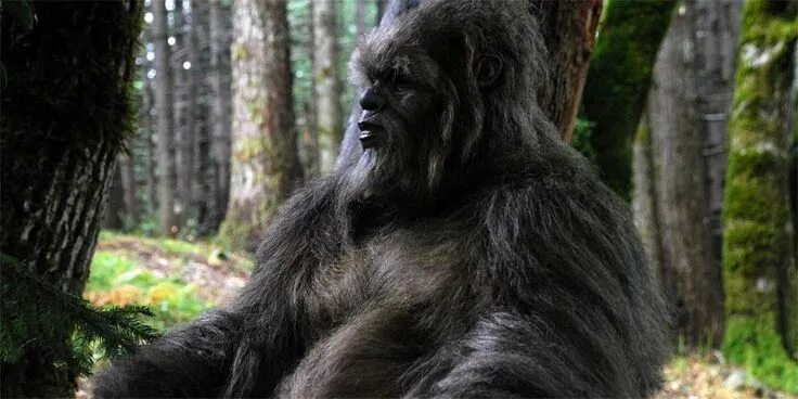 Лесной человек фото Wielka Stopa czyli Bigfoot albo Sasquatch DinoAnimals.pl