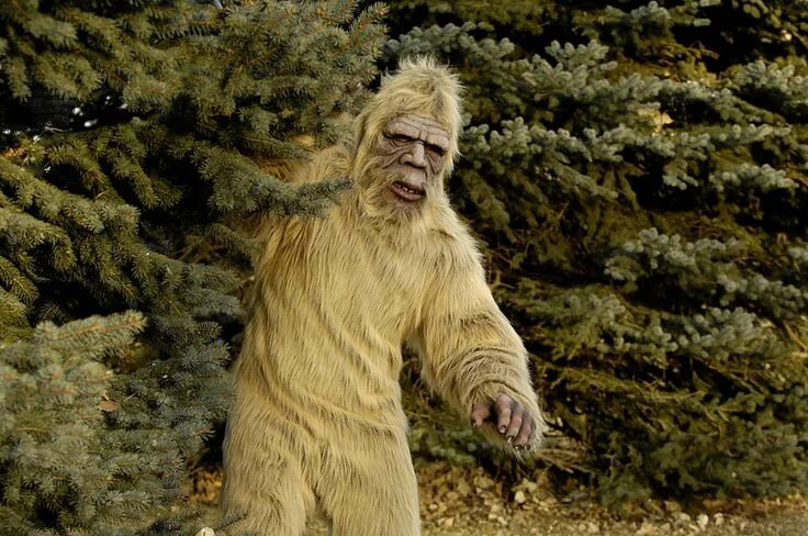 Лесной человек фото Bigfoot Believers See Sasquatch Even in Arizona Rocks ...... Shop the best Bigfo