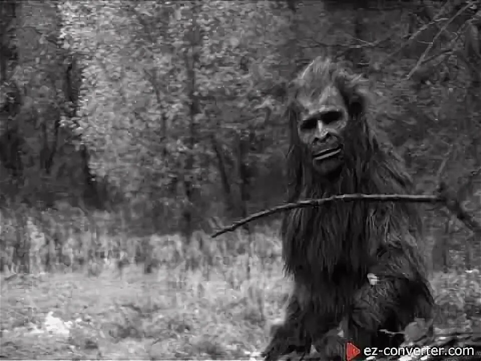 Лесной человек фото Bigfoot Audio Recording Cleaned Up And Analyzed - YouTube