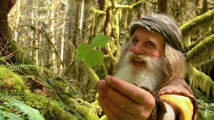 Лесной человек фото Mick Dodge, living off the grid....way off the grid! Love this guy!!!!! If you'r