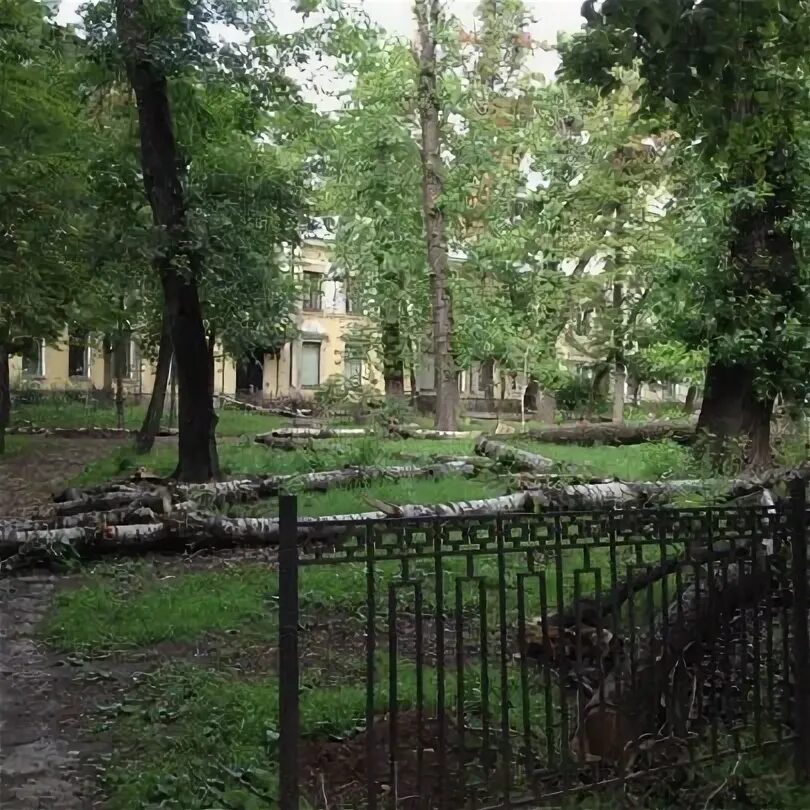 Лесной двор ул благининой 2а фото Лесной двор