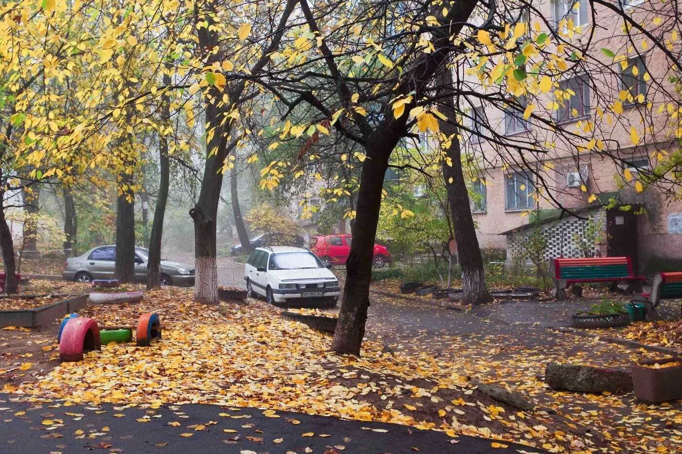 Лесной двор ул благининой 2а фото осень в городском дворике / фото