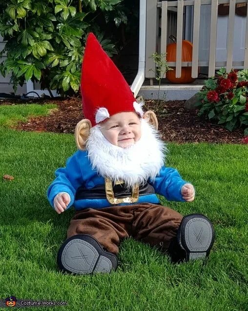 Лесной гном фото костюм Garden Gnome Baby Costume Coolest Cosplay Costumes Cool halloween costumes, Gard