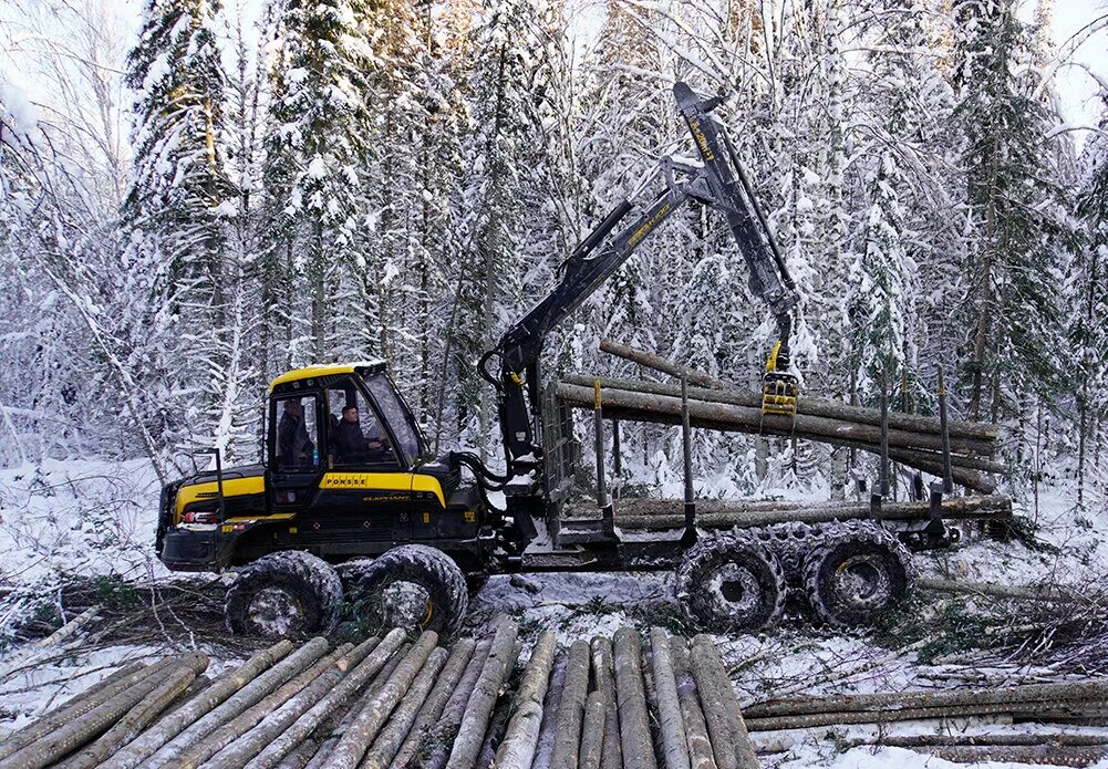 Лесной комплекс фото 45 млн рублей на восстановление леса Лесной комплекс forestcomplex.ru Дзен