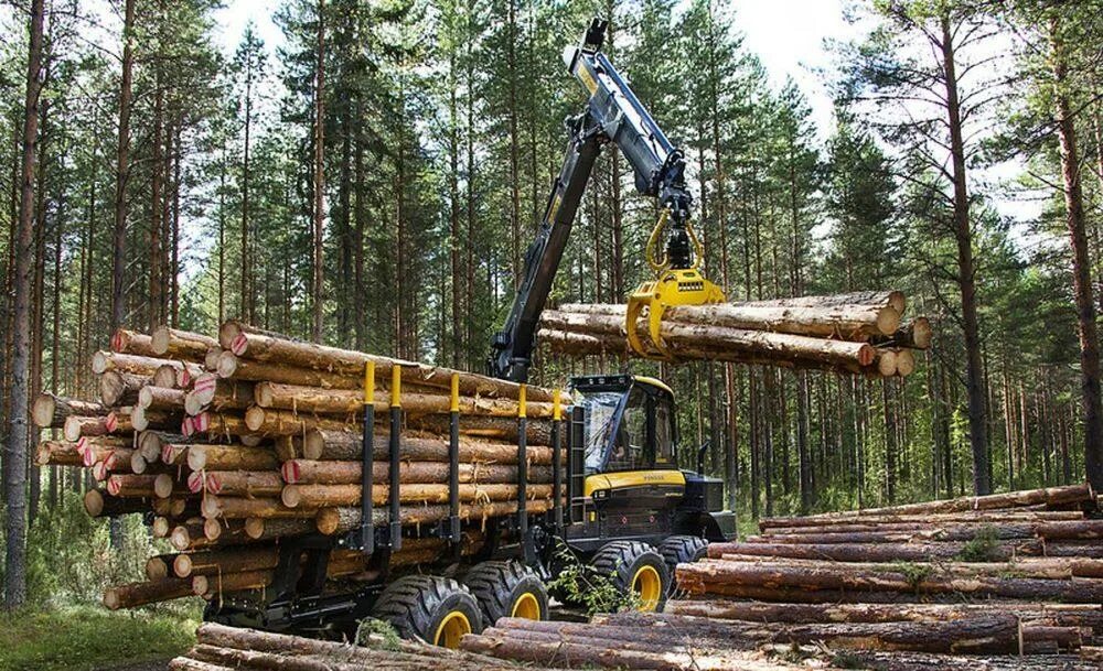 Лесной комплекс фото Комплекс "КЕДР" займется контролем лесозаготовок из космоса - Журнал "ЛПК Сибири