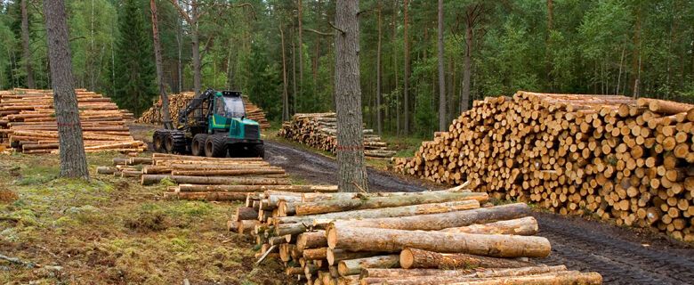 Лесной комплекс фото Log Graders and Scalers Deforestacion, La tala de arboles, Problemas ambientales