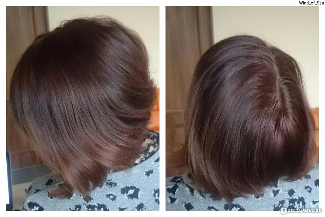 Лесной орех фото волос эстель Краска для волос Garnier Color naturals "Глубокое питание, насыщенный цвет" - "✹