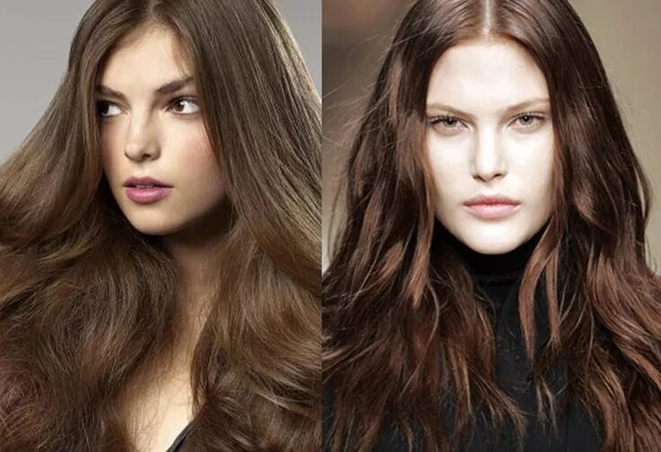 Лесной орех цвет волос фото Like the color Ideas de cabello largo, Peinados, Productos para el cabello