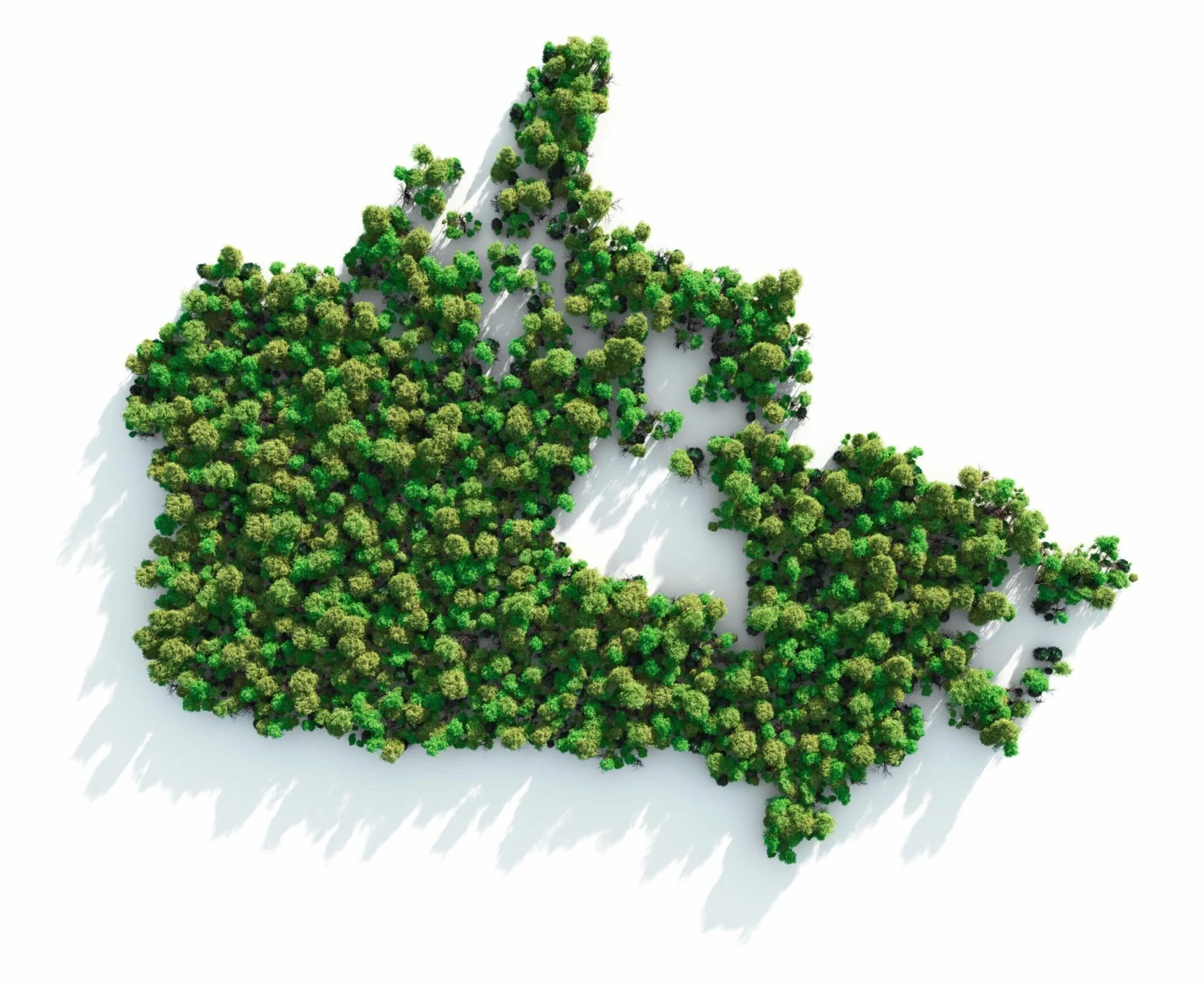 Лесной план фото Environmental Protection Canadian Nuclear Association