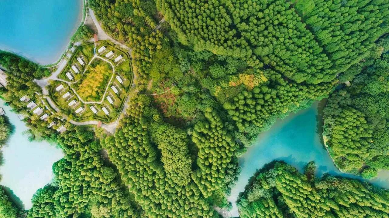 Лесной план фото Картина на холсте 50x80 LinxOne "Здания, деревья, дорога, вид сверху, лес q" инт