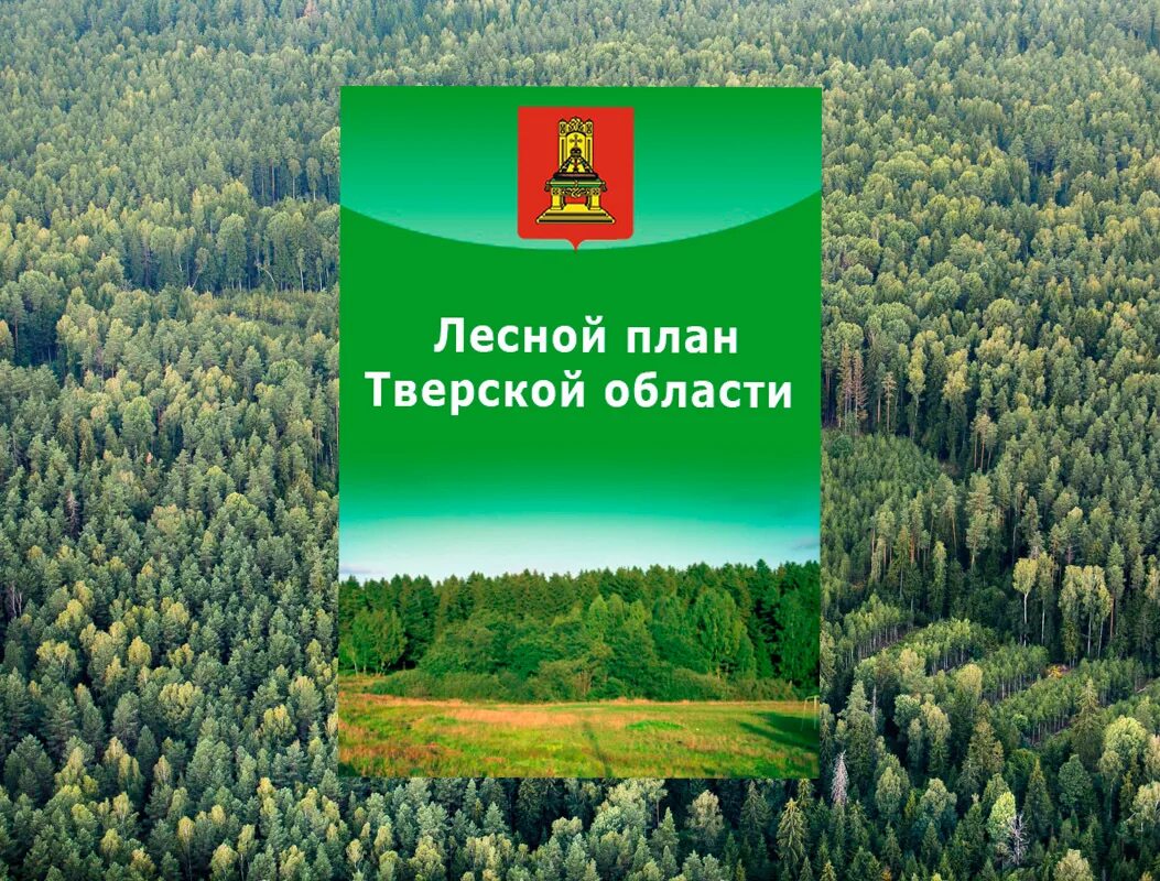 Лесной план фото Новости
