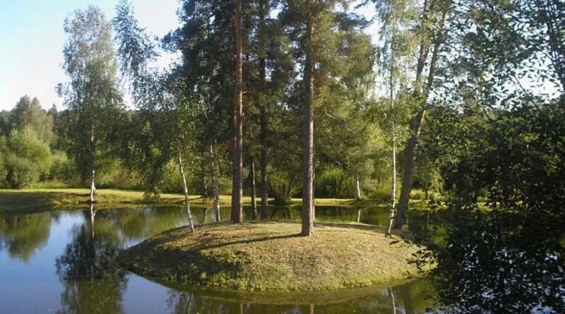 Лесной план фото Лесной план саратовской области