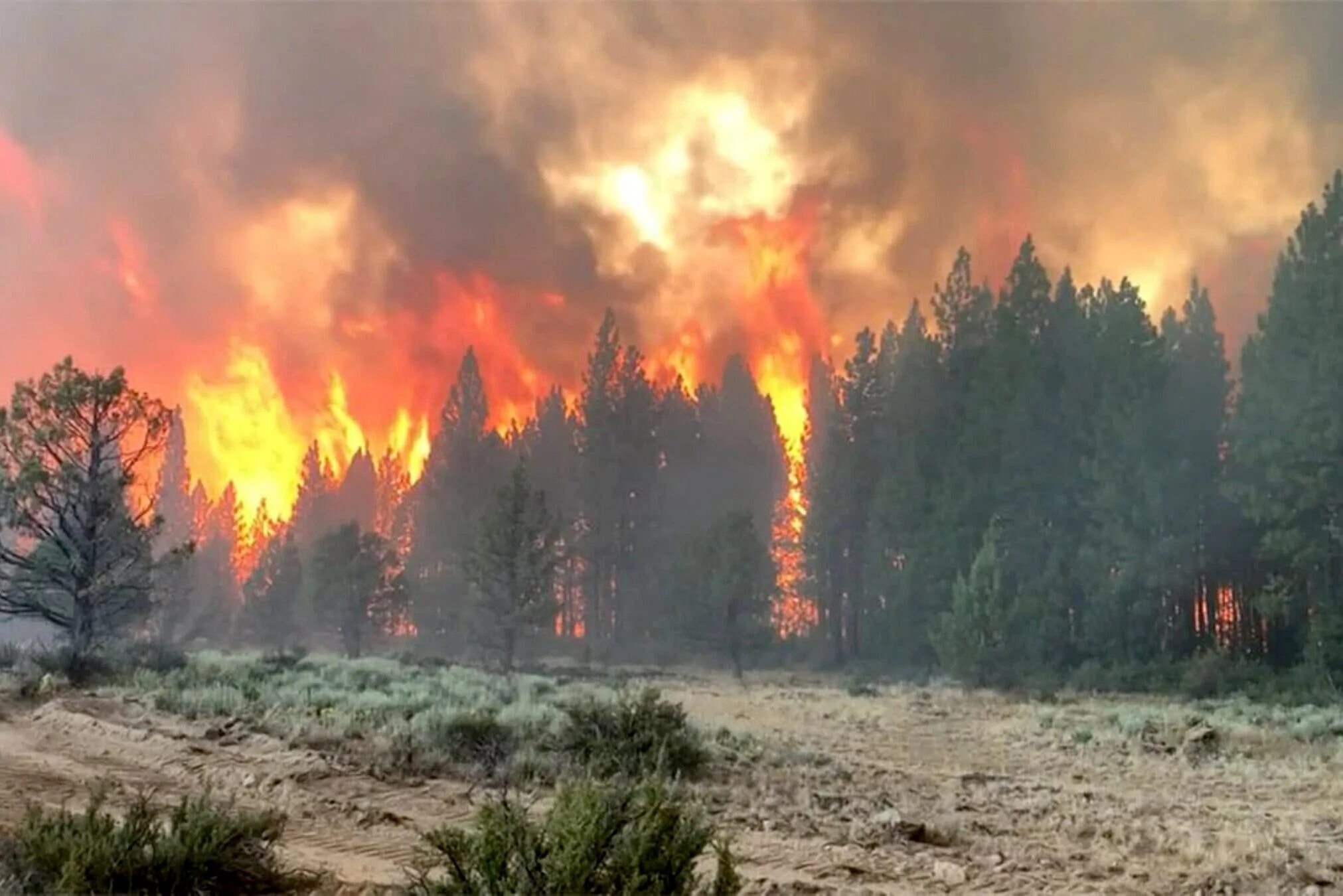 Лесной пожар фото в хорошем качестве Bootleg Fire Scorches Oregon as Heat Wave Continues in the West - The New York T