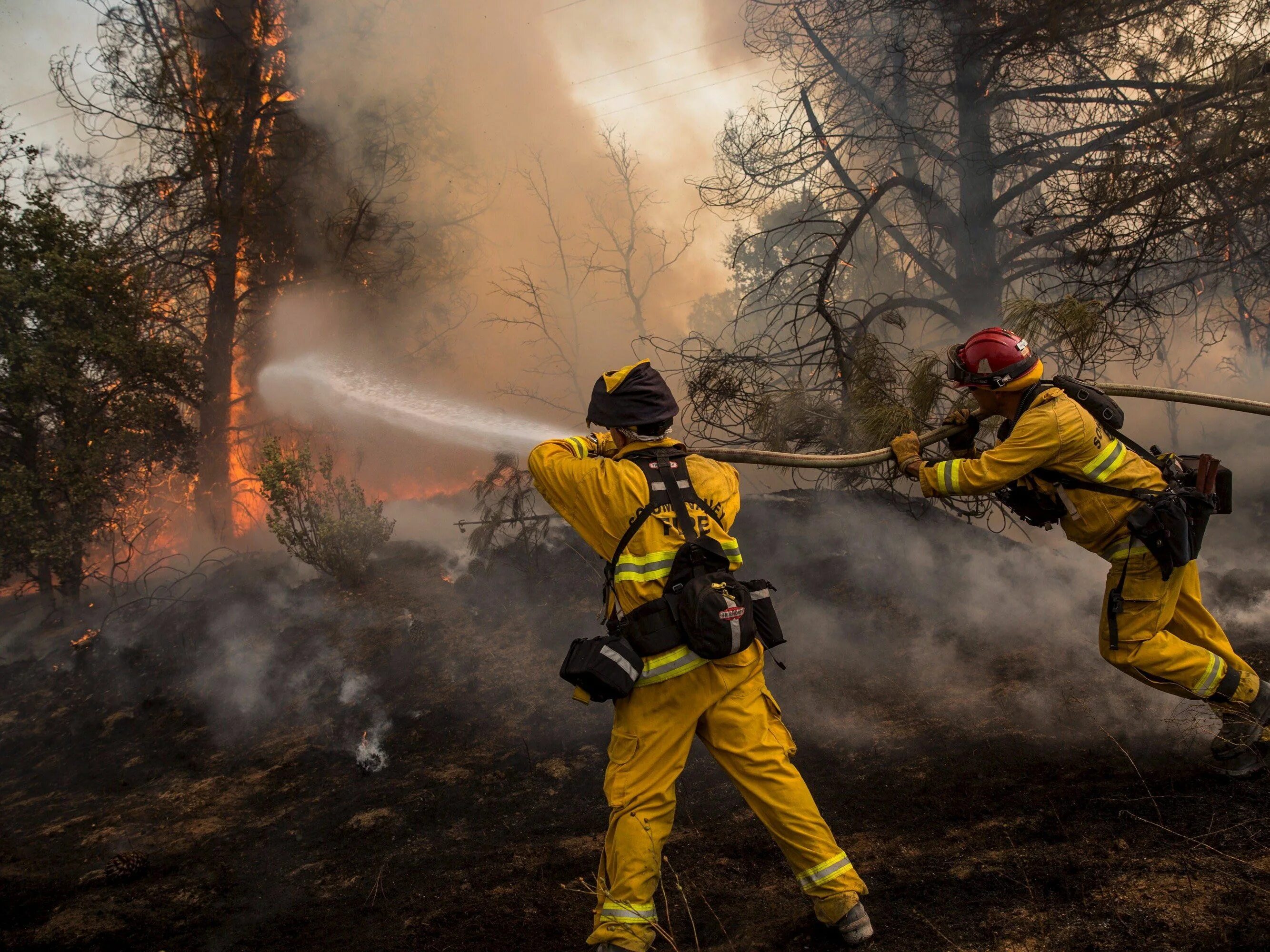 Лесной пожарный фото Shocking photos show the California wildfires that have already killed one and f
