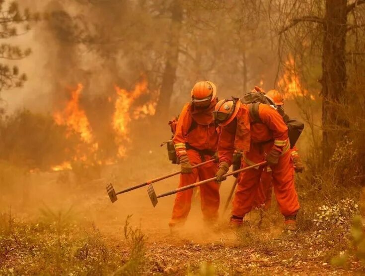 Лесной пожарный фото Prison Labor Marketed as 'Best-Kept Secret' by The Feds Firefighter, Inmates, Wi
