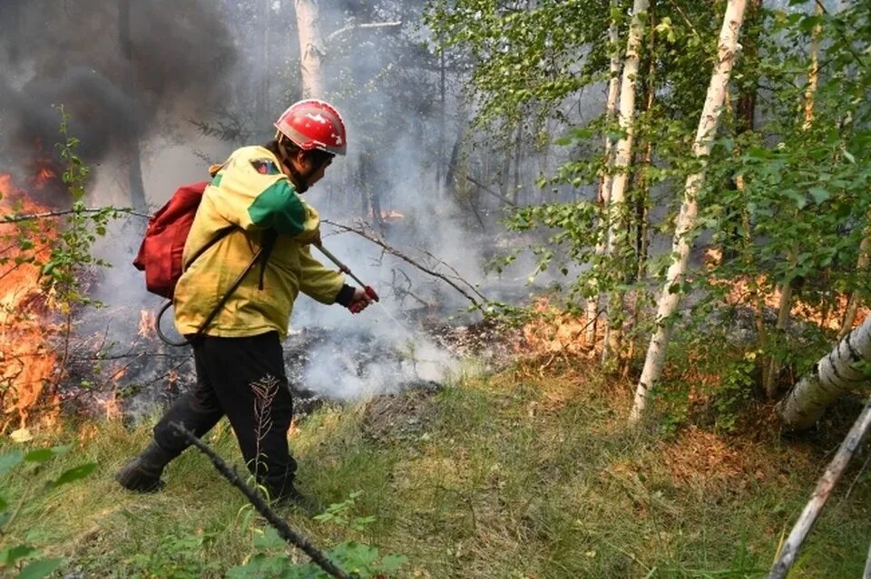 Лесной пожарный фото Борьба со стихией: в Якутии за сутки потушили три лесных пожара и обнаружили шес