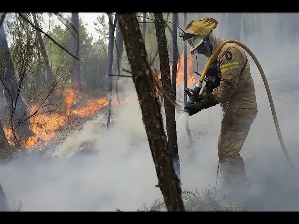 Лесной пожарный фото The Point: Searing heatwaves - YouTube