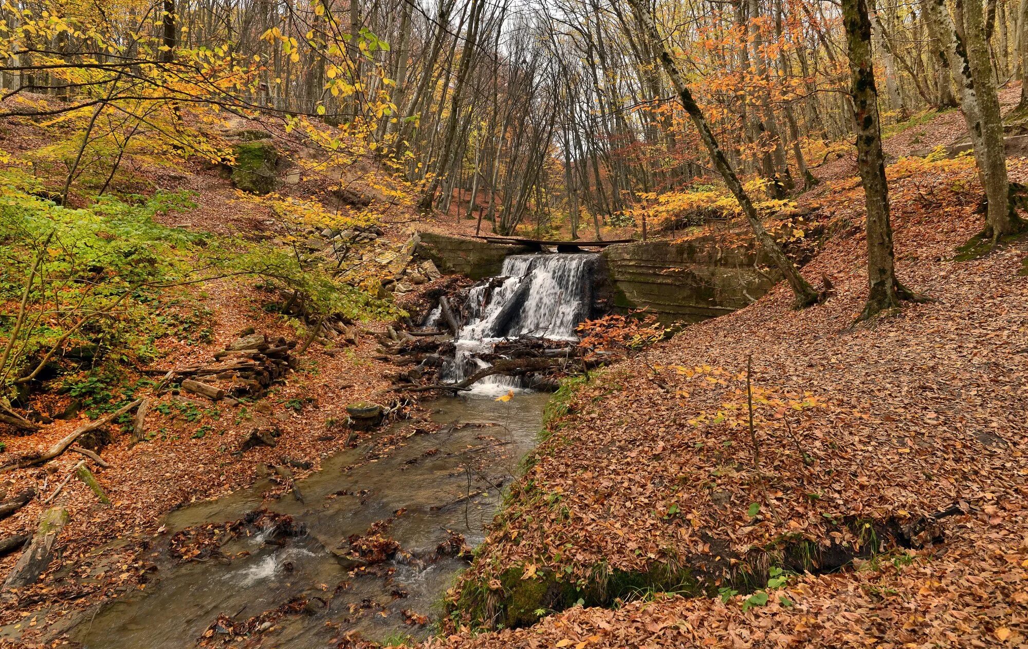 Лесной родник фото Реки моей Родины