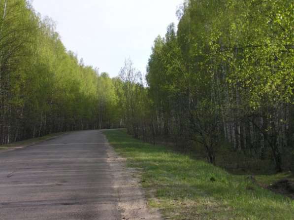 Лесной рязанская область фото Продам участок в Рязанской области в Москве