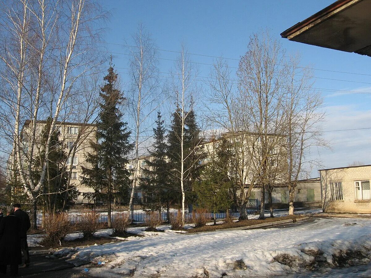 Лесной рязанская область фото Файл:Lesnoy (Ryazan region)2.JPG - Вікіпедыя