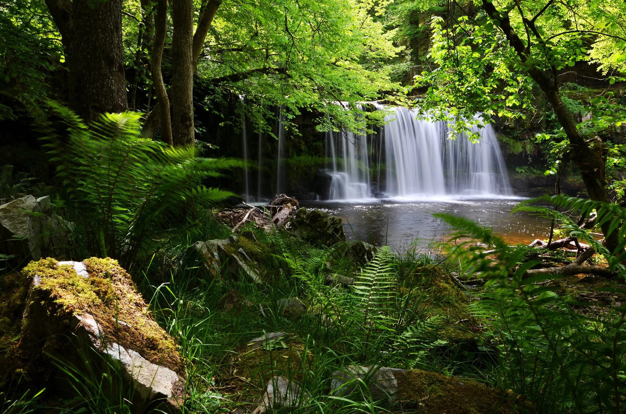 Лесной водопад фото Wallpaper : 2048x1356 px, beacons, brecon, England, fern, forest, national, park