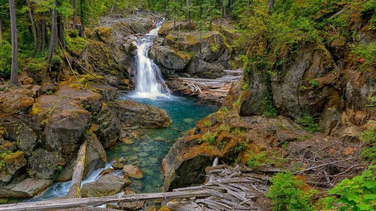 Лесной водопад фото Картина на холсте 40x60 LinxOne "Водопад silver falls скалы" интерьер для дома /