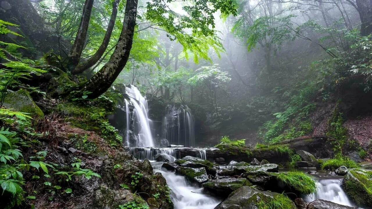 Лесной водопад фото Картина на холсте 60x110 Альянс Лес "Туман Ручей Камень Природа" на подрамнике /
