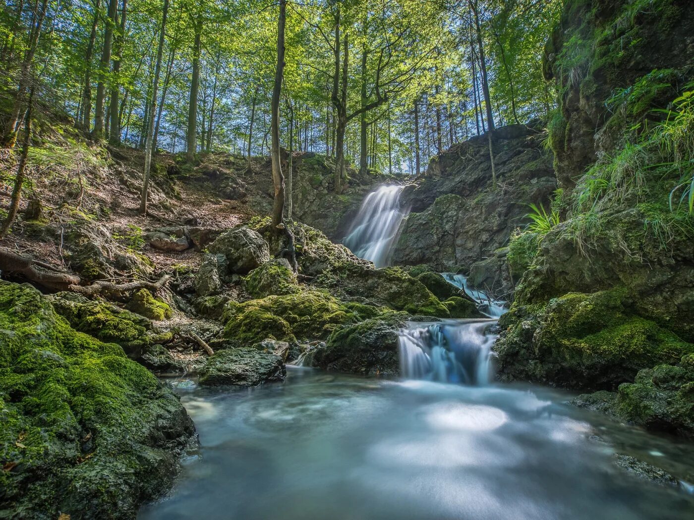 Лесной водопад фото Download wallpaper trees, river, waterfall, moss, Germany, Bayern, Germany, Bava