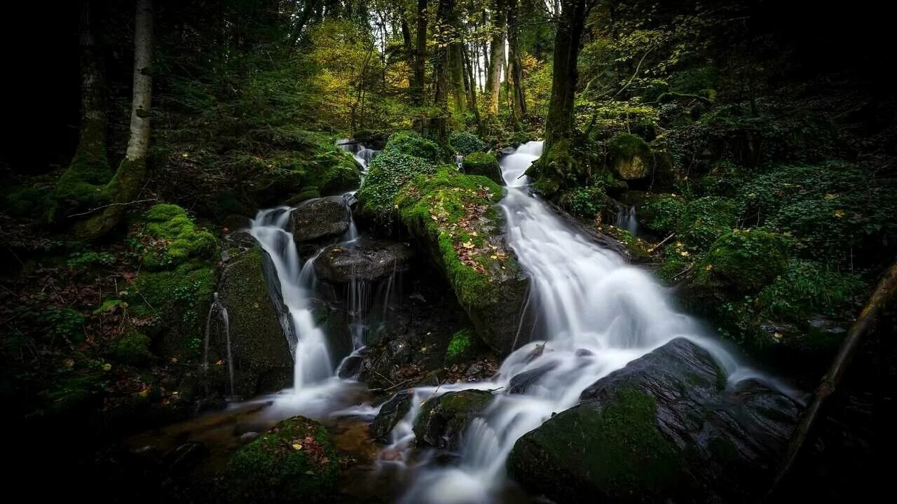 Лесной водопад фото Картины и панно с водопадом с камнями - купить по низкой цене на Яндекс Маркете