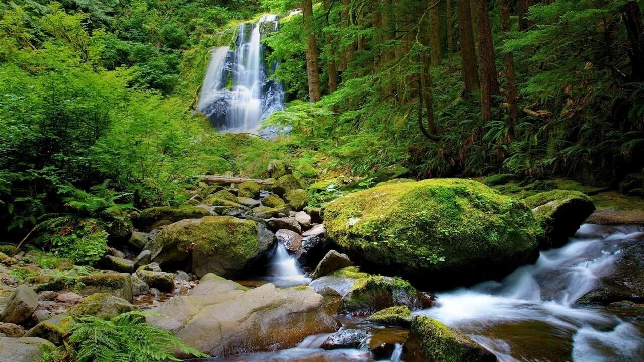Лесной водопад фото Картина на холсте 60x100 LinxOne "Природа, пейзаж 816 c" интерьерная - купить по