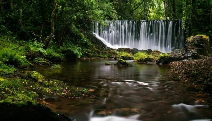 Лесной водопад фото Waterfall by ricmal on DeviantArt Desktop background nature, Nature desktop, Wat