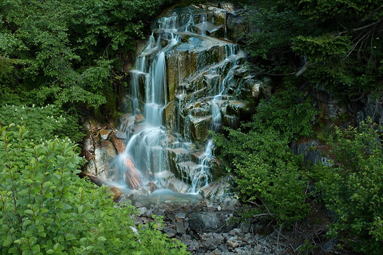 Лесной водопад фото Картинки Маунт-Рейнир парк США Природа Водопады лес Парки