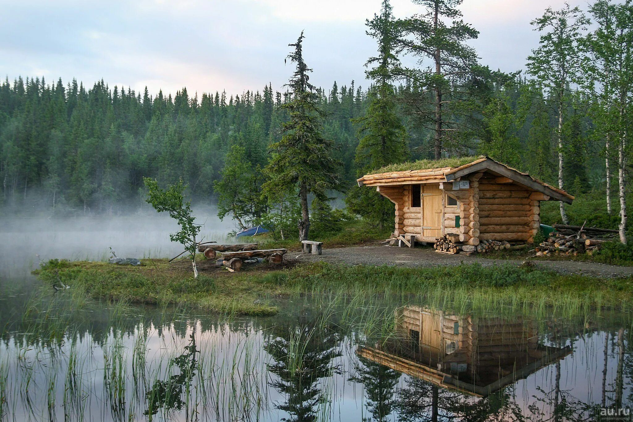 Лесные бани фото Лесная баня
