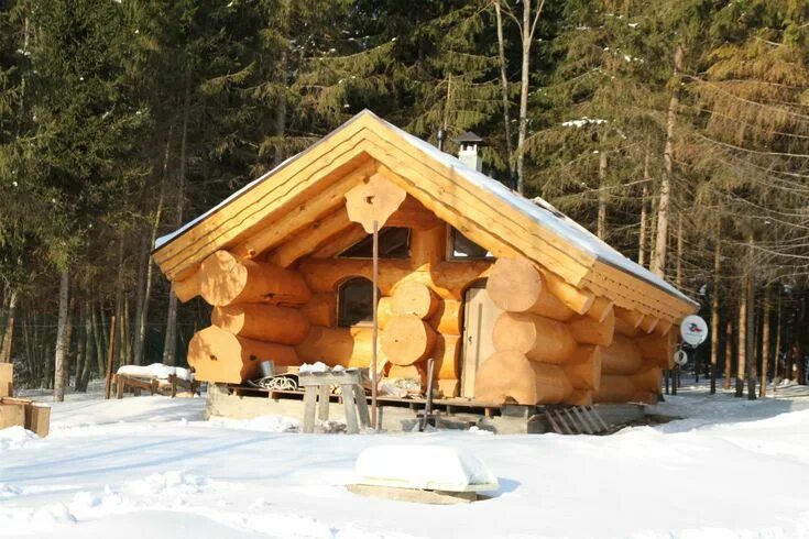 Лесные бани фото Русская банька из кедра Rustic house, Log homes, Small log cabin