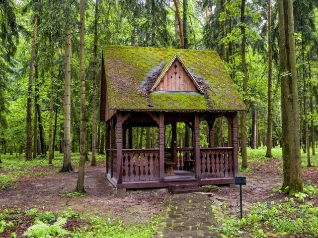 Лесные беседки фото Отель Атлас Парк (Atlas Park) 4* (Подмосковье, юг) - бронирование номеров 2024, 