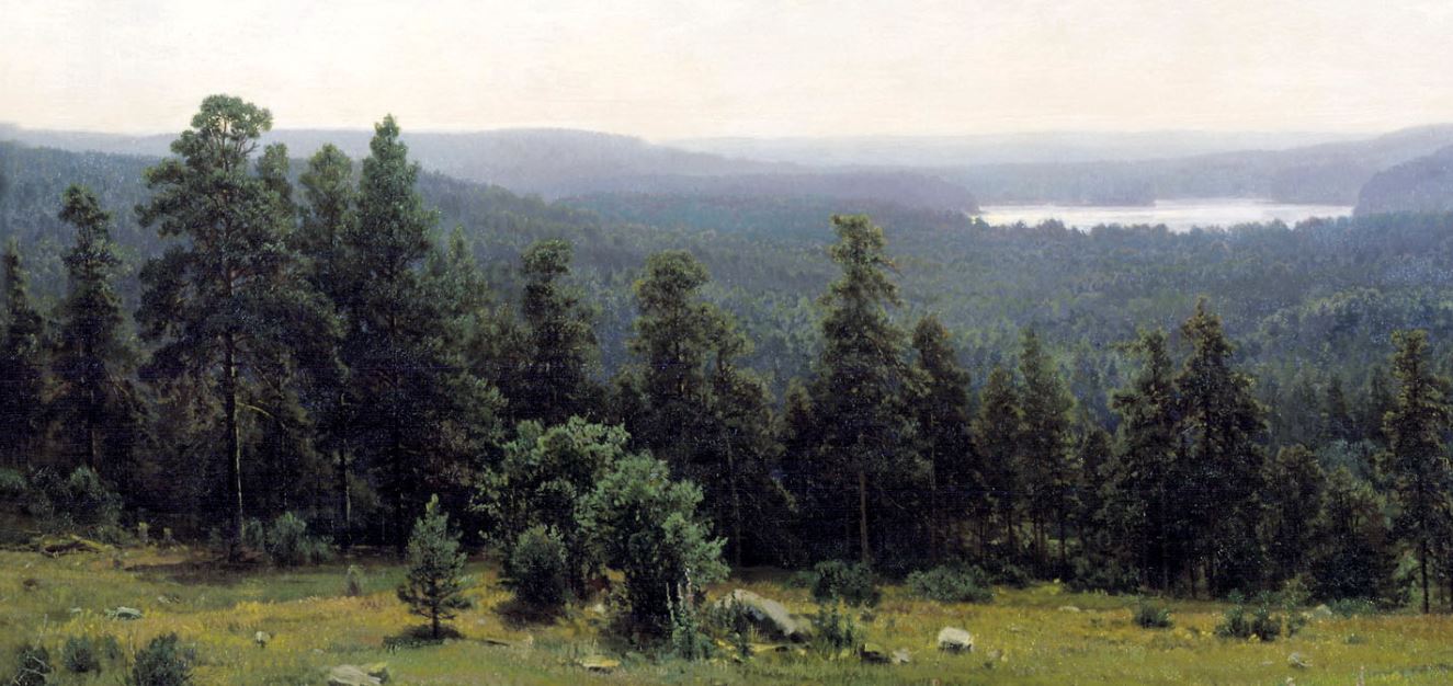 Лесные дали фото Лесные дали картина автор