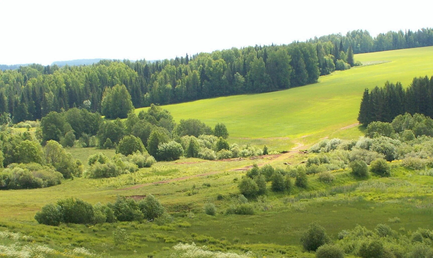 Лесные дали фото Летний пейзаж - конкурс "Лесная сказка" - Фотоконкурс.ру