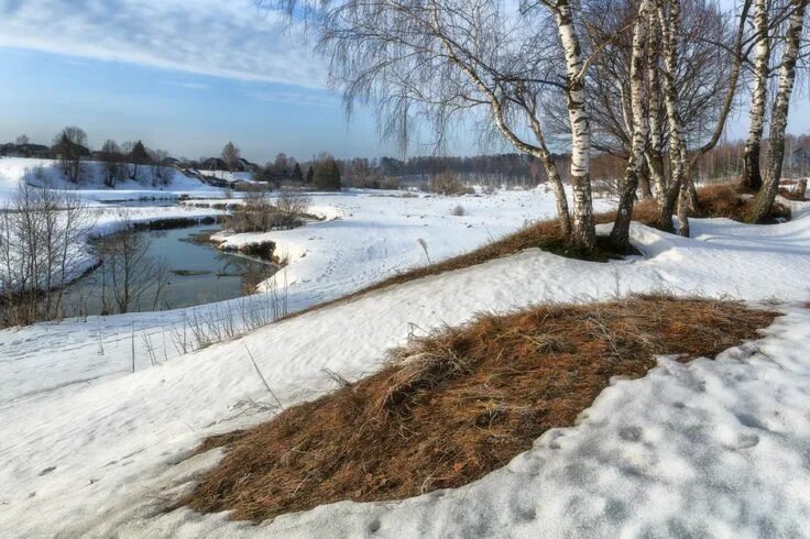 Лесные проталинки фото Первые проталины. Рисунки пейзажей, Идеи озеленения, Пейзажи