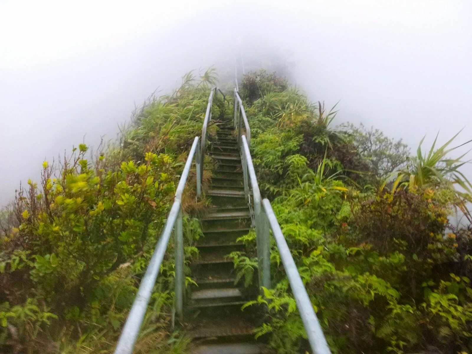 Лестница фото есть Climbing the Haiku Stairs (Stairway to Heaven) - Oahu, Hawaii Stairs, Stairway t