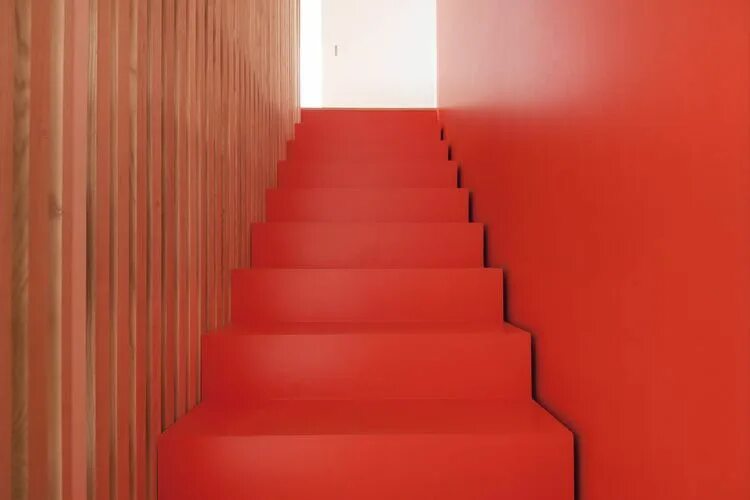 Лестница крашены фото A Transformative Duplex Renovation in Montreal Homes House stairs, Painted stair