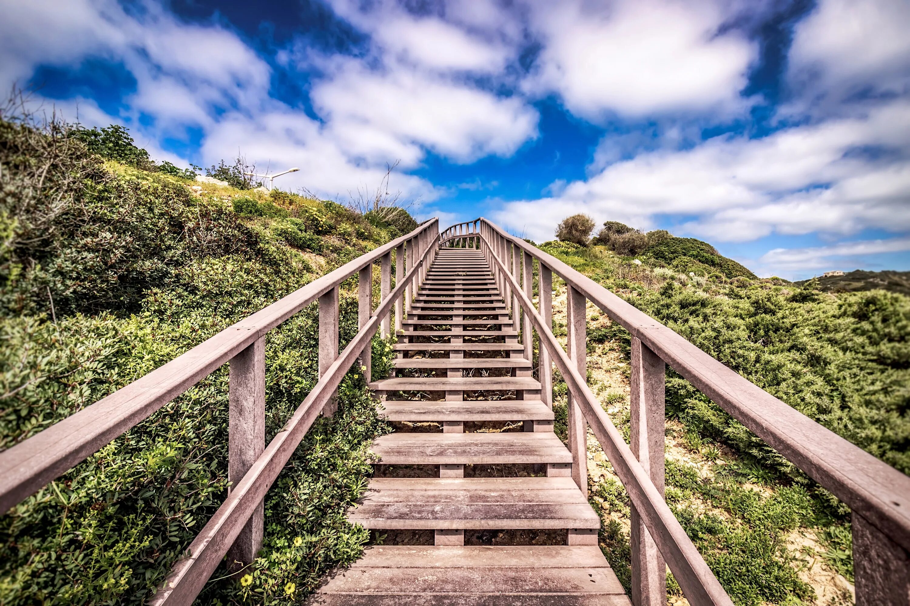 Лестница снизу фото Stairs Foliage Sky free image download