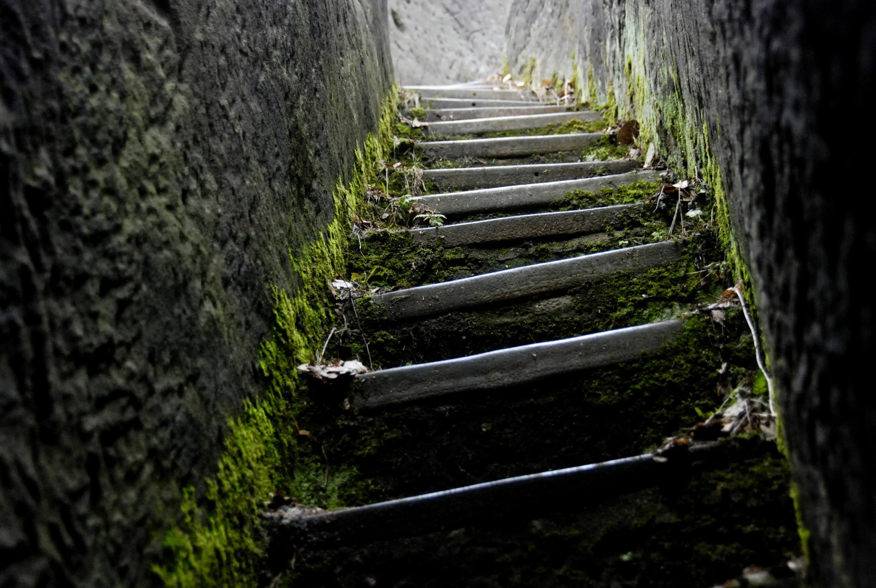 Лестница вниз фото up please buildings Stairways, Stone stairs и Stairs