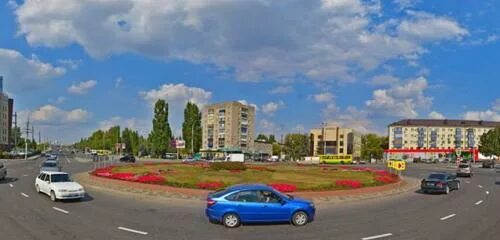 Летать площадь мира 1д липецк фото Venki, iskusstvennyye tsvety, artificial plants and flowers, Russia, Lipetsk, pl