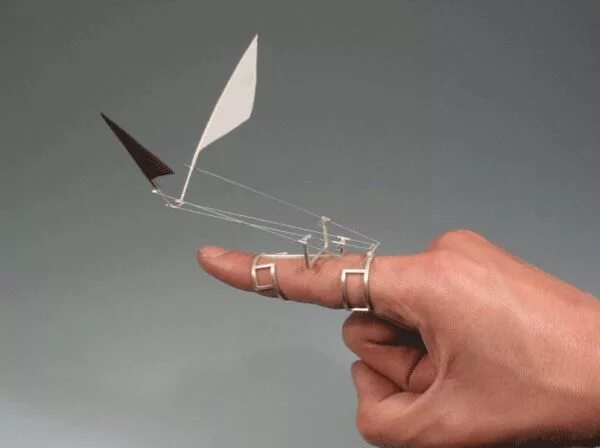 Летающие самоделки Wearable kinetic rings mimic the flight of birds Kinetic jewelry, Kinetic sculpt