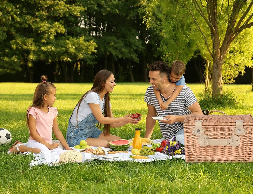 Летнее фото для описания Picnic Basket 2/4 Person Insulated Baskets Set Wicker Outdoor Blanket Gift Park 