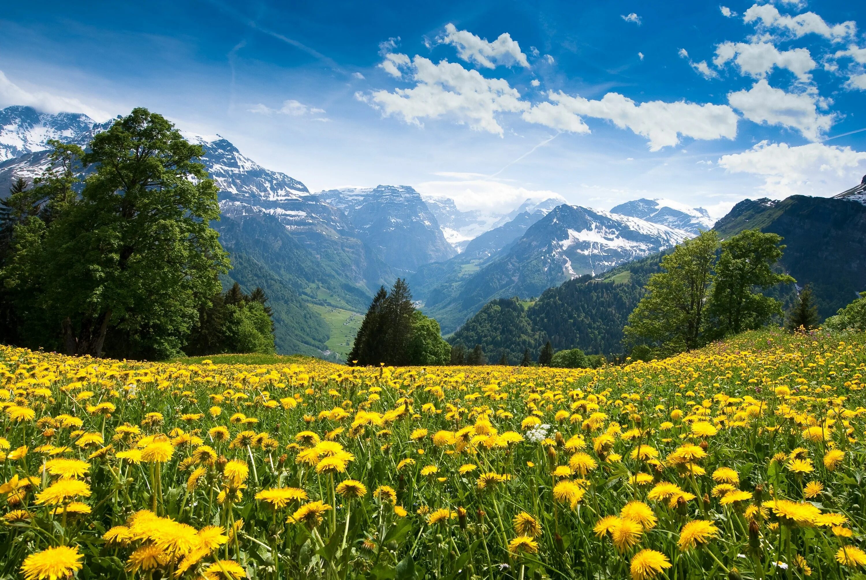 Летнее фото на рабочий Switzerland Berglandschaft, Schöne natur, Schöne landschaften