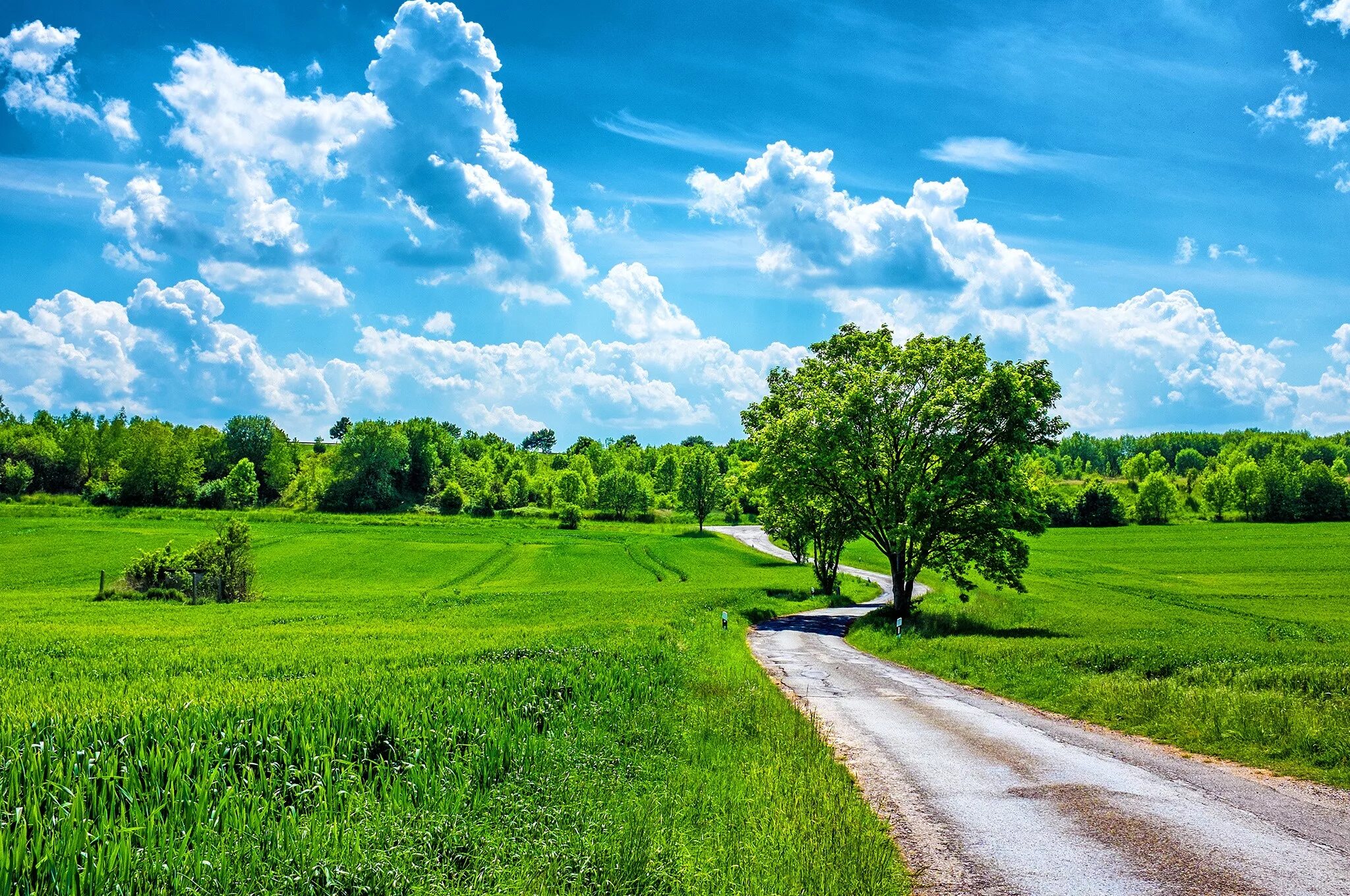 Летнее фото на рабочий Wallpaper : sunlight, trees, landscape, hill, nature, grass, sky, green, horizon